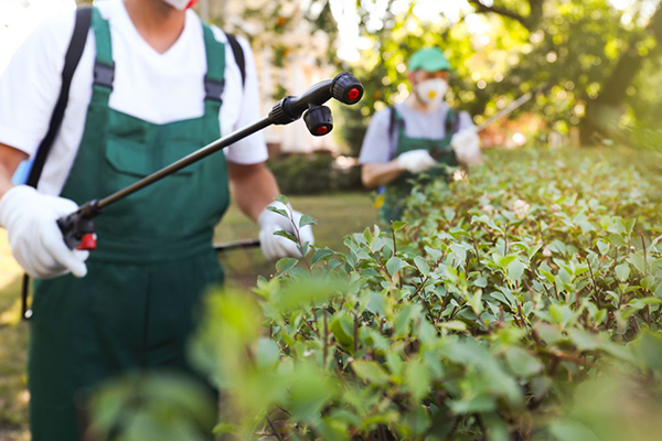 pest control perth